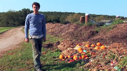 What Items Can I Put in a Compost Pile?