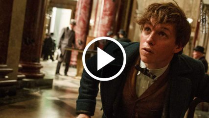 Phantastische Tierwesen Und Wo Sie Zu Finden Sind Trailer English (2016)