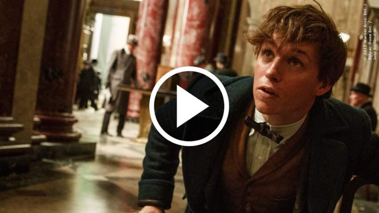 Phantastische Tierwesen Und Wo Sie Zu Finden Sind Trailer English (2016)