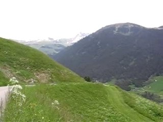 Quad yfz