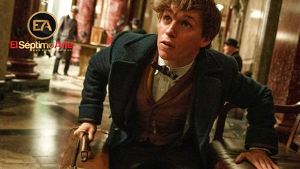 Fantastic Beasts and Where to Find Them (Animales fantásticos y dónde encontrarlos) - Teaser tráiler V.O. (HD)