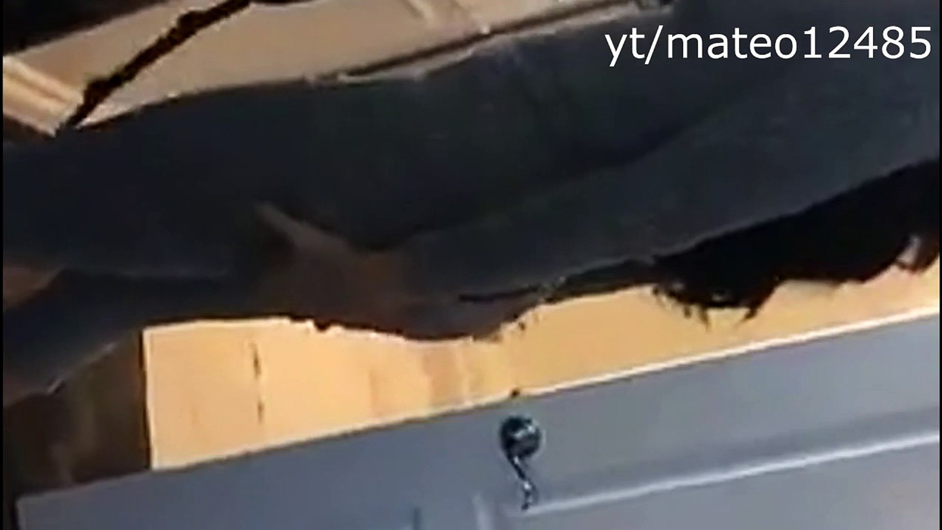 ⁣Kylie Jenner Shaking Her Ass in Deleted Snapchat Story December 2015 - Kylie Jenner Booty Shake