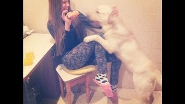 BEST EPIC FAILS ► EXTREME IDIOTS Funny Moments 2015