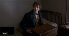 J.K. Rowling's FANTASTIC BEAST and Where to Find Them - Official Movie Trailer [Full HD]