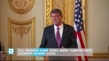 U.S. defense chief seeks more Turkish help against Islamic State