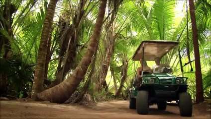 Beausoleil: Chez Seychelles