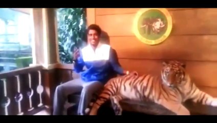 #16 Lustige Videos Лучшие приколы 2015 (Funny, fail compilation) 楽しい 2015 面白い動画 __ 不覚にも笑って