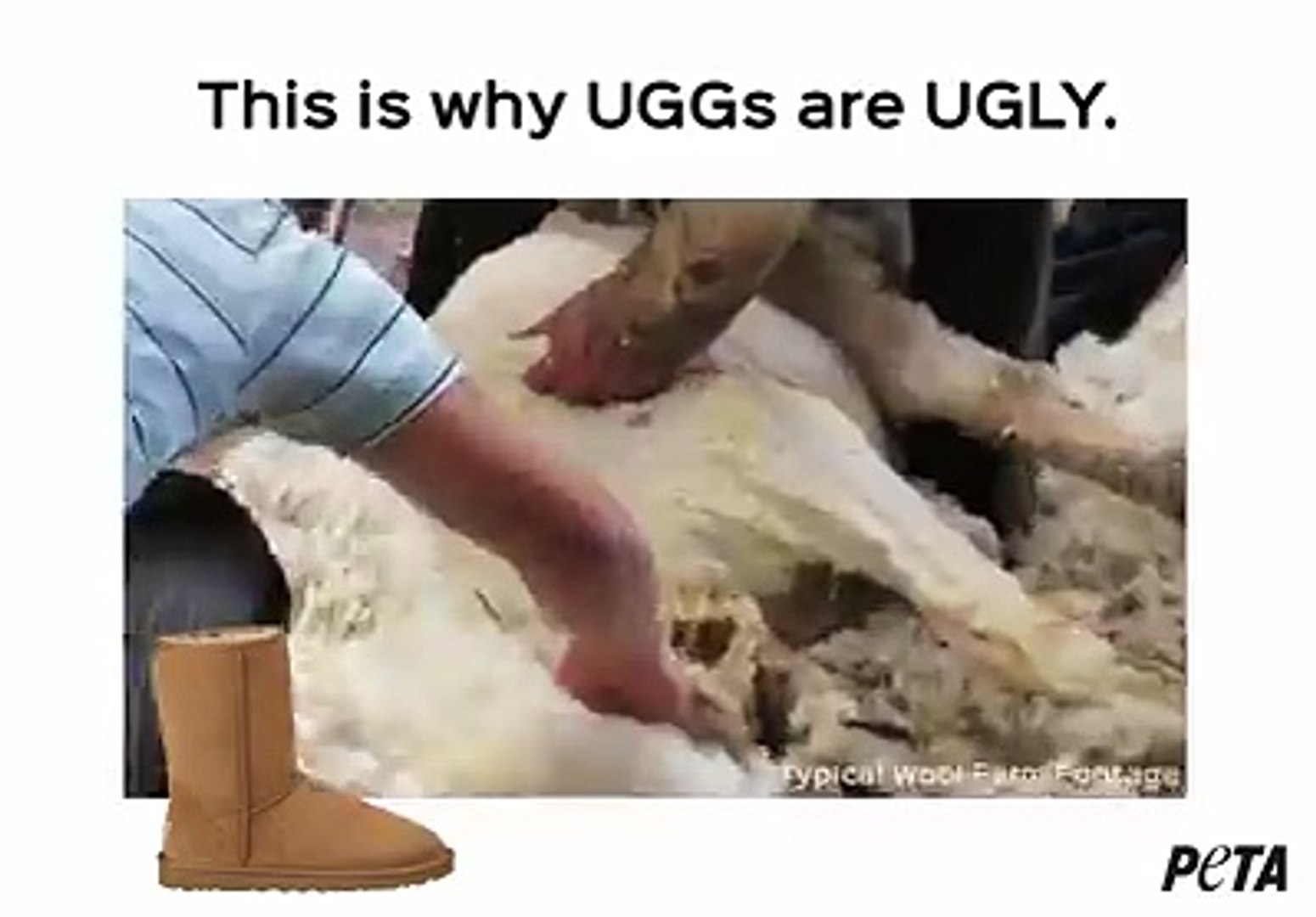 This is why UGGs are ugly - video 