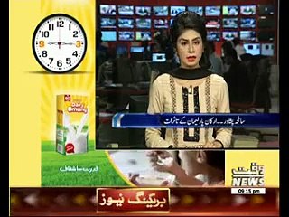 Parliamentarians About Pakistan Safty