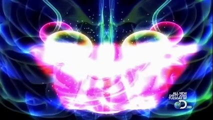 The Science of Lust Full Documentary 720p HD Discovery
