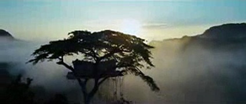 The Legend of Tarzan Official Teaser Trailer #1 (2016) - Alexander Skarsgård, Margot Robbie Movie HD