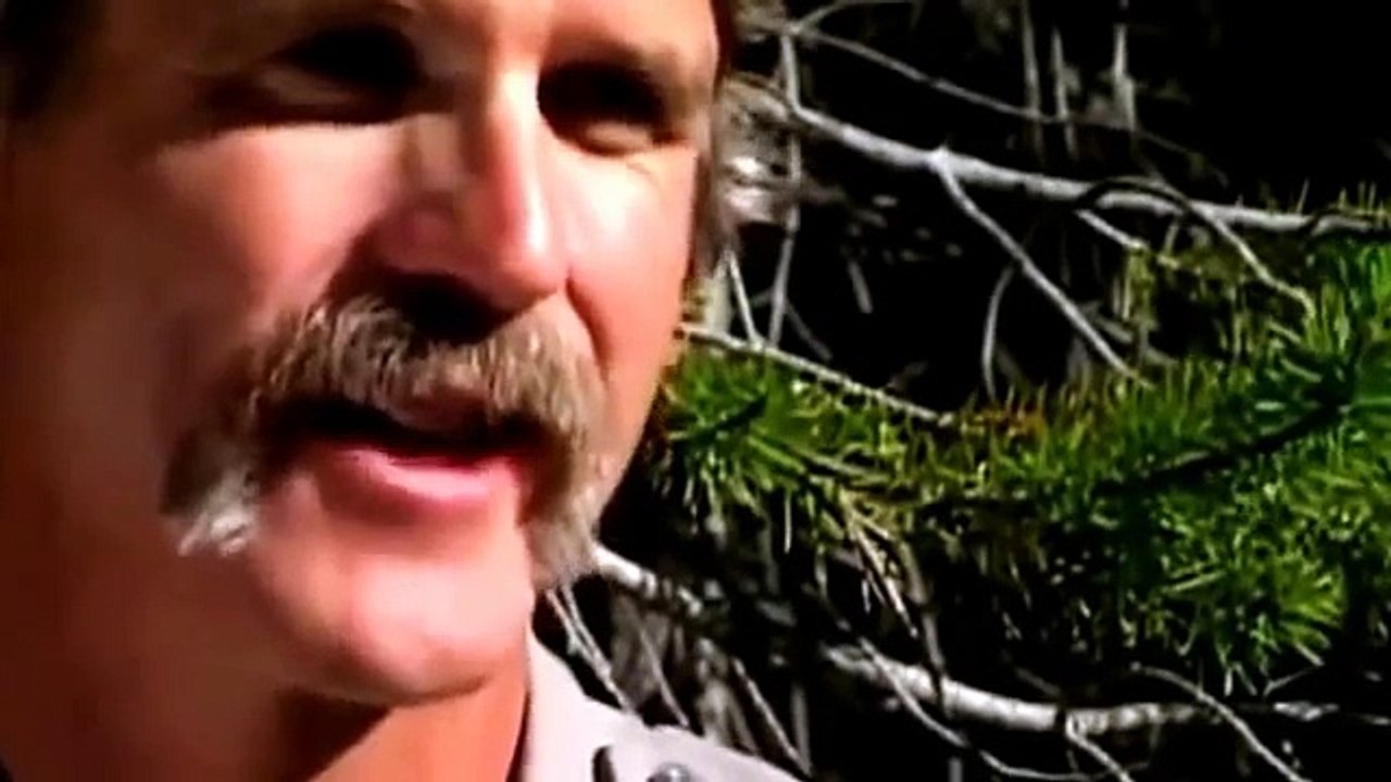 Wolf Vs Hyena Animal Planet 2015 Wildlife Documentary || Animals Planet Discovery