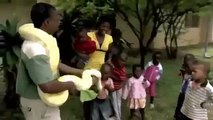 Black Mamba Snakes Africa
