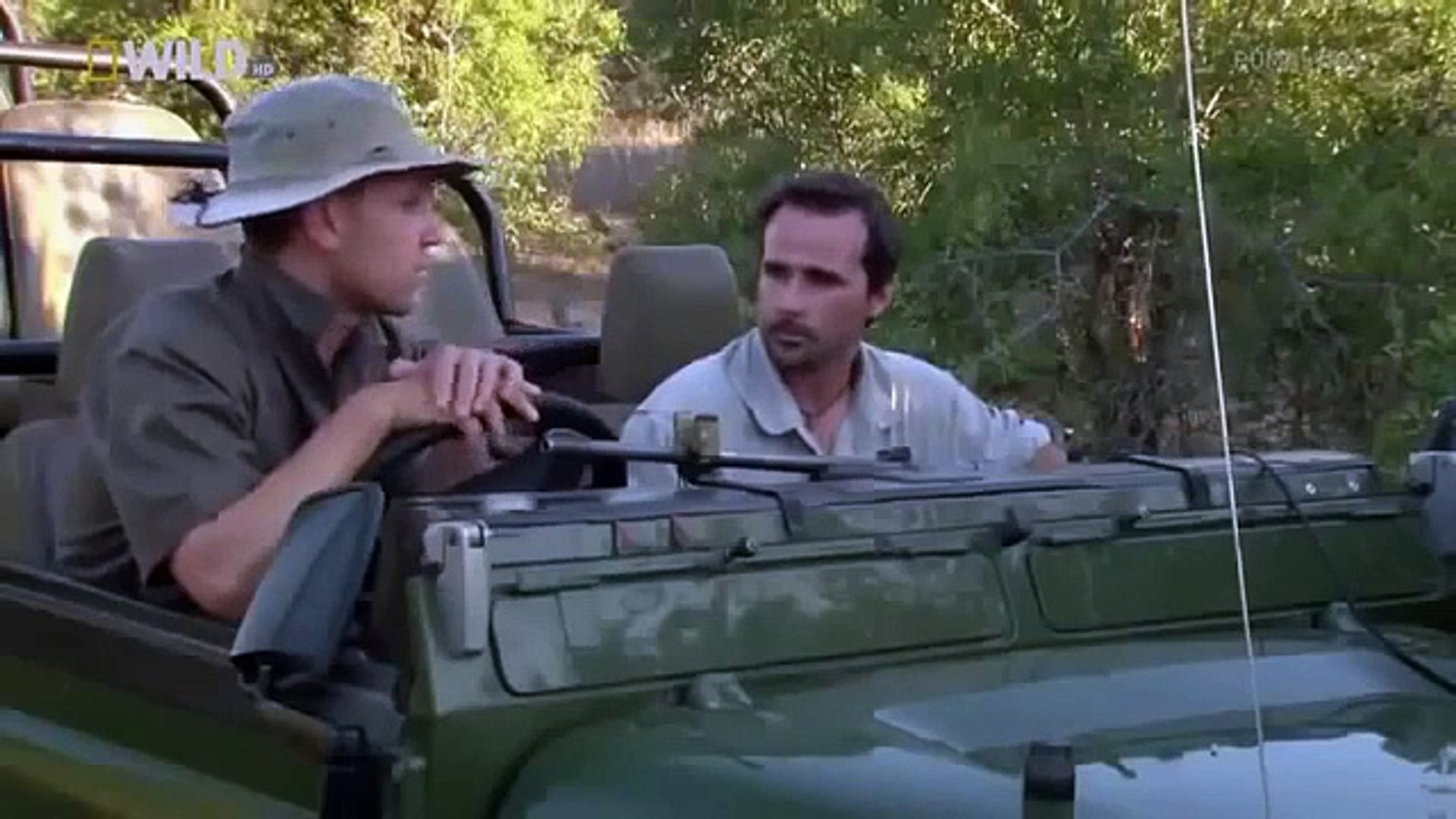 ⁣wildlife animals attack documentary animals fighting in African || Animals Planet Discovery