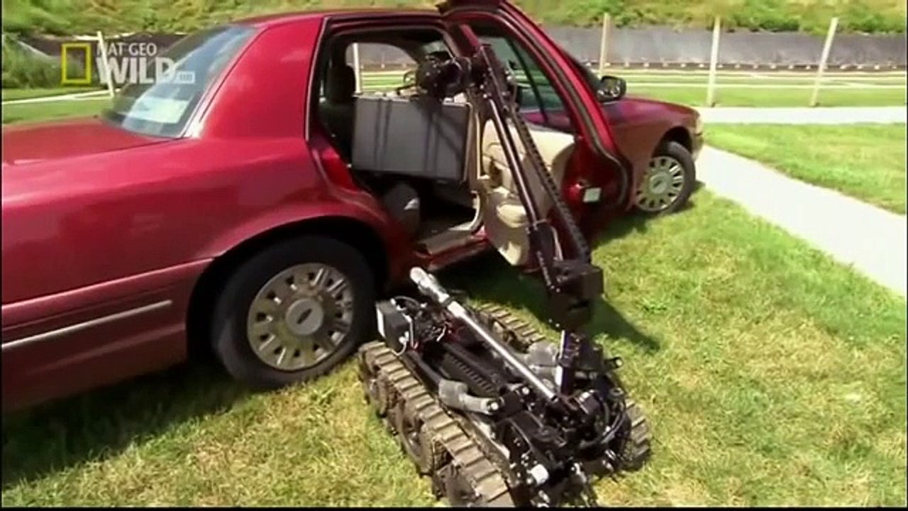 King Cobra I Wildlife Documentary I National Geographic Documentaries || Animals Planet Discovery