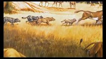 Wild Life Documentary Wildlife Documentary National Geographic || Animals Planet Discovery