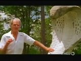 Dangerous Snakes Attack Nature Wildlife Documentary 360p