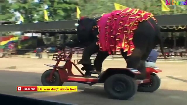 Nhạc thiếu nhi vui nhộn - Liên khúc nhạc cho bé hay nhất 2015