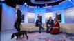 RUTH LANGSFORD: : ITV _THIS MORNING_ 02. Jan. 2013 The Furry Victims of Christmas