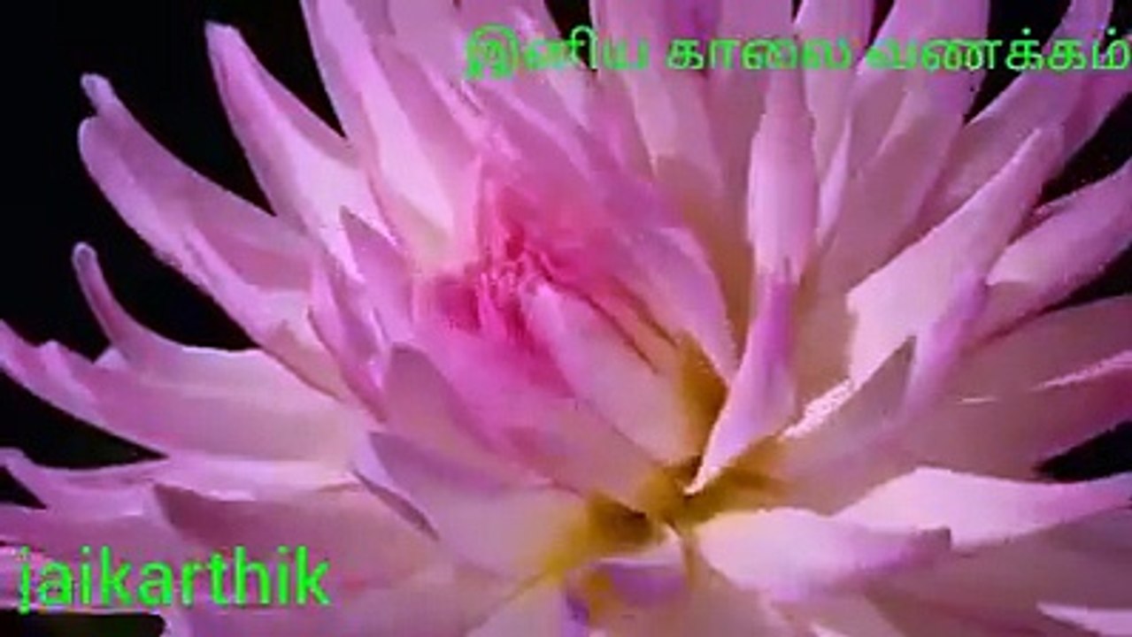 VID-20151203-WA0001