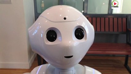Ouest:  "Pepper" le robot humanoide SNCF renseigne et danse - Paris Bretagne Télé