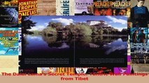PDF Download  The Dalai Lamas Secret Temple Tantric Wall Paintings from Tibet PDF Full Ebook