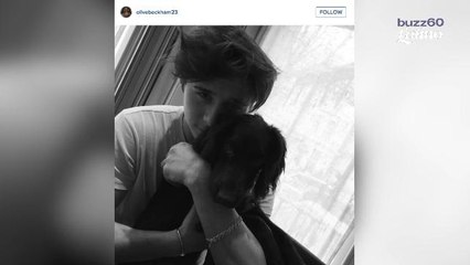 El nuevo cachorro Beckham abre su cuenta en instagram