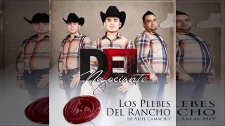 Los Plebes del Rancho - Mi Riqueza (Estudio) 2015