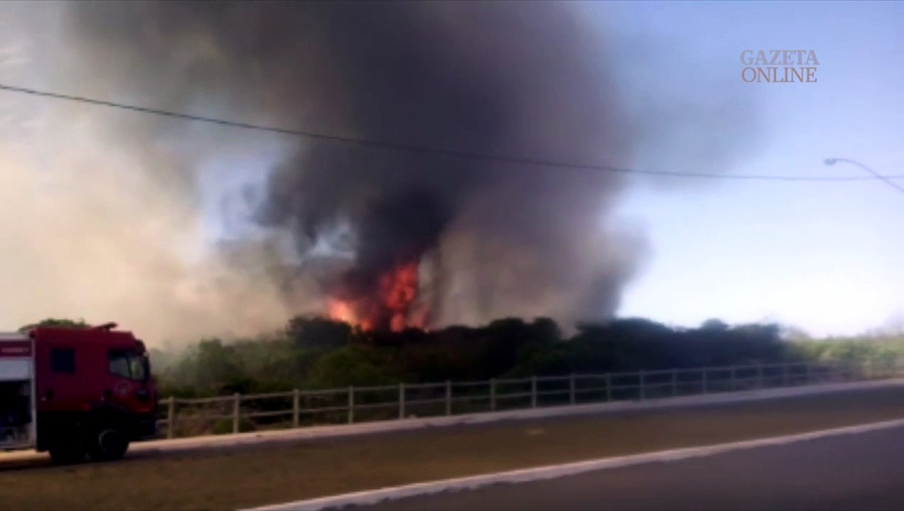 Incêndio em restinga de Pontal do Ipiranga