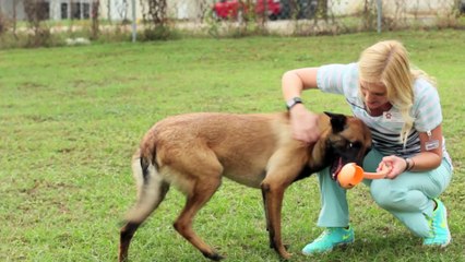 Welcome to West Gate Veterinary Hospital