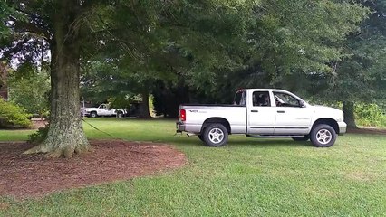 Il tente de déraciner un arbre avec sa camionnette, mais gardez un oeil sur le tronc!