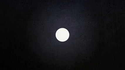 Intro Logo Promo Videos