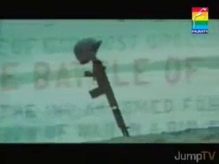 Dedicated 2 APS attack victims