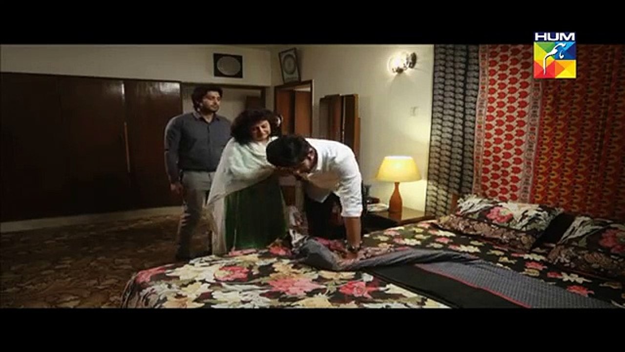 Ek Thi Misaal Episode 28 Full HUM TV Drama 15 Dec 2015
