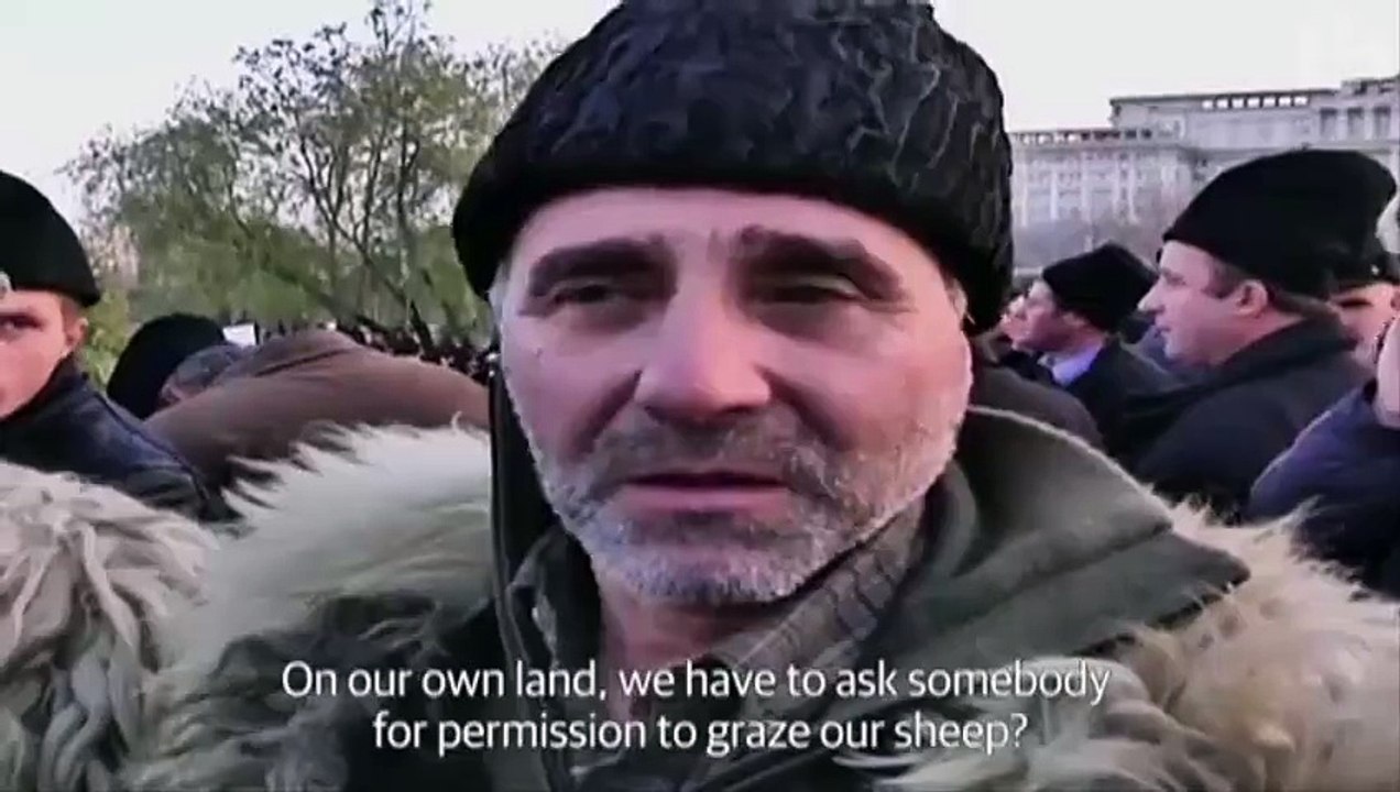 Shepherds protest against new sheepdog laws at Romanian parliament