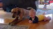 Funny babies imitating dogs - Cute dog