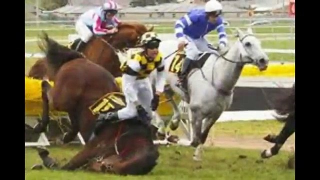 TheRace Amazing Horrific Horse Racing Falls Accidents Fails