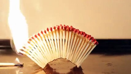 Amazing Fire Domino!! 【成功バージョン】- The Turtle