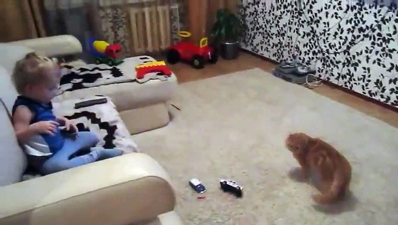 Cat entertaining a Kid