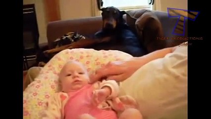 Funny dogs jealous of babies - Cute dog