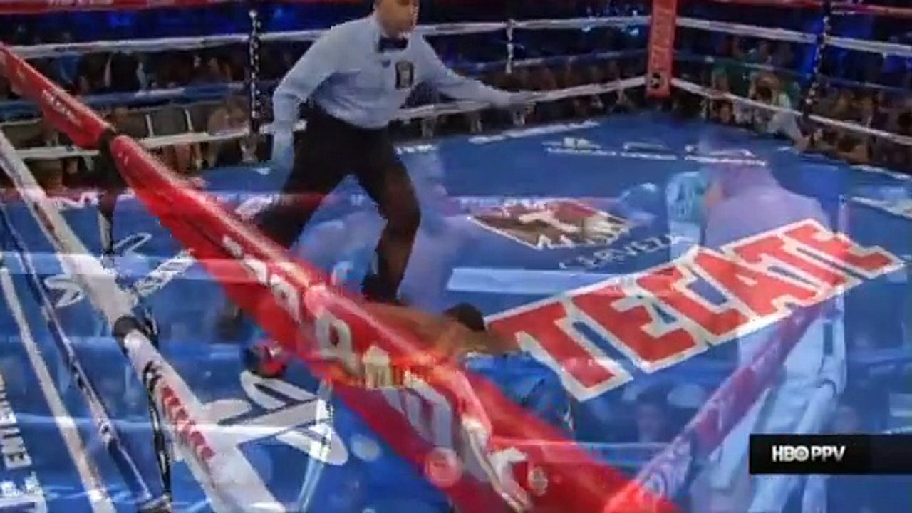 TOP 20 MOST BRUTAL KNOCKOUTS IN BOXING HISTORY