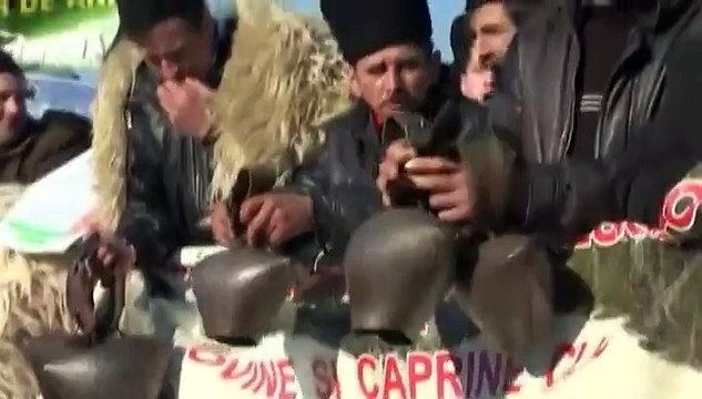 Roumanie : 4 000 bergers protestent contre une loi limitant le nombre de chiens de troupeaux