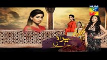 Mera Dard Na Jany Koi Episode 36 Promo HUM TV Drama 14 Dec 2015