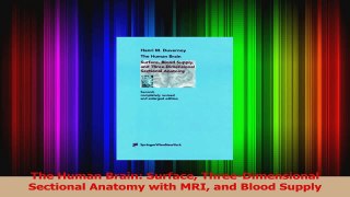 Read  The Human Brain Surface ThreeDimensional Sectional Anatomy with MRI and Blood Supply Ebook Free