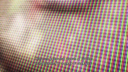 RESIDENT EVIL HD REMAKE PS4 CHRIS PART 1