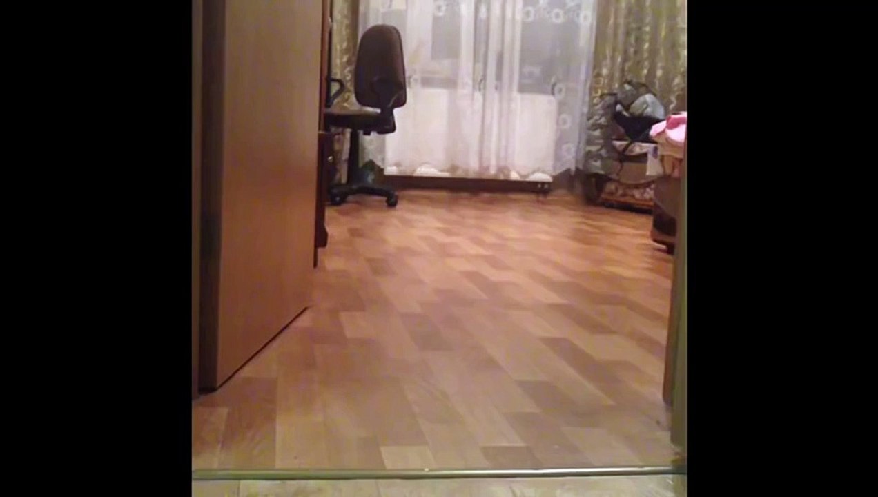 Игрунишка