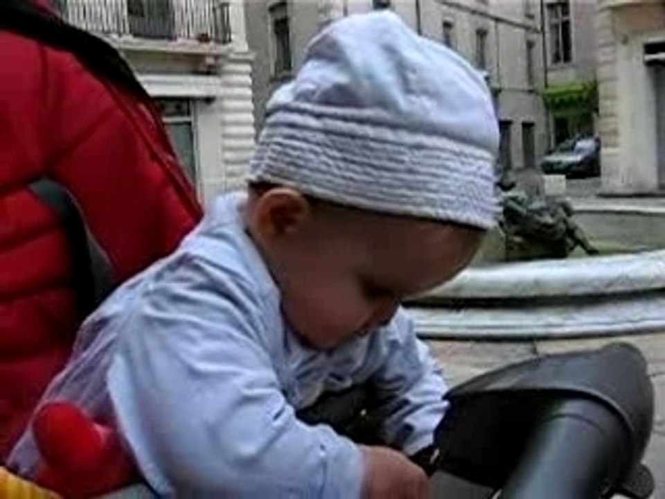 Loulou à Nîmes