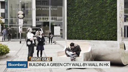 Could These Green Walls Solve City Pollution Problems?