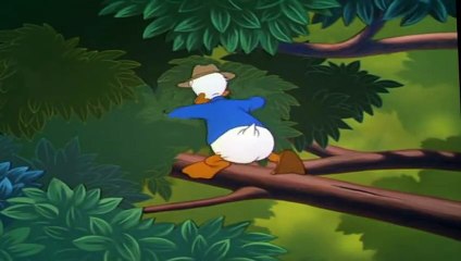 Donald duck cartoons full episodes 2015 Donald duck & Chip and dale Disney Movies Full