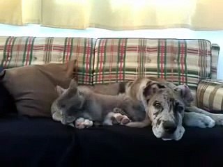 Классические отношения мужчины и женщины